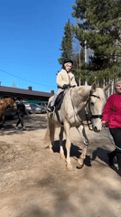 Early morning horse riding lessons documented in Russian village