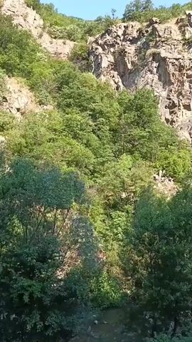 This is a video capturing a scenic view of a mountainous landscape in Varvara, Bulgaria. The scene is dominated by lush green foliage and rugged rocky terrain. The time of day appears to be daytime, with bright sunlight casting shadows and illuminating the scene, suggesting clear weather. The camera perspective seems to be from a moving vehicle, possibly a train or bus, indicated by the slight blur and the presence of what looks like part of a vehicle's exterior on the right side of the frame, which is dark green and appears to be a metal structure.

The foreground is filled with dense trees and bushes, their leaves rustling as if in a gentle breeze. As the view moves further back, the slopes of the mountain are visible, interspersed with patches of exposed rock. The trees on the mountainside are a mix of various shades of green, with some lighter green or whitish blooms possibly indicating flowering shrubs. The overall impression is one of natural beauty and tranquility. No people or specific objects are clearly identifiable, apart from the suggestive presence of the vehicle. No text is visible in the video. The emotion evoked is one of peaceful observation of nature.