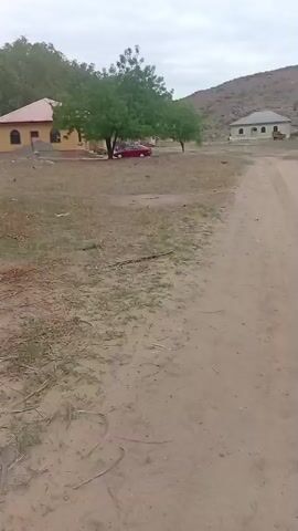 The video displays an outdoor rural landscape under an overcast sky. The ground consists of dry, sandy earth with sparse patches of green vegetation and scattered debris. A dirt path is visible, leading towards a single-story yellowish building with a reddish sloped roof, situated among several green trees in the mid-ground. A red car is parked near the building. Low, arid hills or mountains are visible in the distant background. The camera executes a slow pan from left to right, then a partial pan back to the left, revealing a row of green trees, a palm tree frond in the foreground, and the textured ground. No individuals are present.