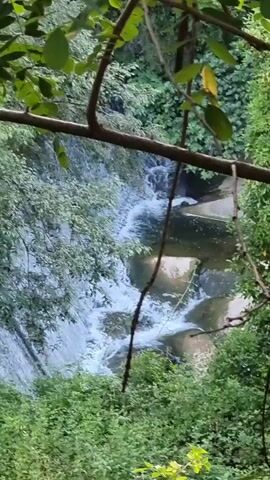 The video shows a cascading waterfall through a dense forest. The water flows down a series of stepped rock formations, creating white froth and ripples. Lush green foliage surrounds the waterfall, with branches and leaves framing the scene from the foreground. The light suggests it is daytime, and the overall atmosphere is tranquil and natural. There are no people or man-made objects visible besides the engineered stepped formations of the waterfall itself.