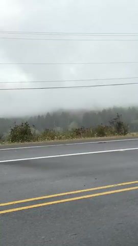 The video shows a grey, foggy day with a two-lane road in the foreground. The road has yellow double lines in the center. In the background, there are trees and hills covered in fog. Power lines are visible stretching across the top of the frame. The weather appears damp, as indicated by the wet appearance of the road. The overall atmosphere is moody and atmospheric, with visibility significantly reduced due to the fog.