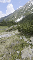 Alpine landscapes and local scenes documented by witness