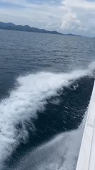 Boat travels through choppy waters near Ko Pha-ngan, Thailand