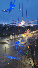 Izhevsk resident documents daily life, dragonfly decorations, city streets