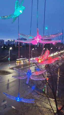 Izhevsk resident documents daily life, dragonfly decorations, city streets