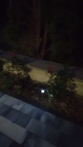 The video shows a nighttime view of a paved walkway with square, grey, and white tiles. The walkway leads along a low retaining wall planted with bushes that are lit by small, square, white solar-powered lights. Beyond the wall, a dark-colored sedan is parked, its headlights off, and its side illuminated by ambient light. The background is dark, with indistinct shapes of trees and foliage. The camera is moving, panning to the right and slightly downward.