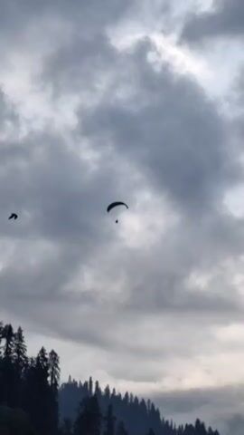 The video shows a dark, overcast sky with scattered clouds. In the center of the frame, a paraglider is visible, suspended in the air against the cloudy backdrop. Below and to the right of the paraglider, a second, smaller object, also dark in color, is visible. In the lower portion of the frame, the silhouette of a dense line of pine trees is apparent, suggesting a mountainous or forested environment. The scene appears to capture a moment of paragliding activity.