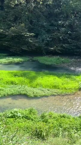 The video pans across a tranquil river flowing through a lush, green forest. The water is clear, revealing the rocky riverbed, and is bordered by vibrant green grass and vegetation. Sunlight dapples through the dense canopy of trees, casting shifting patterns of light and shadow on the water and banks. In the distance, a man-made structure, possibly a building with white columns, is visible on the left side of the river, situated among the trees. The overall scene conveys a sense of natural beauty and peacefulness.