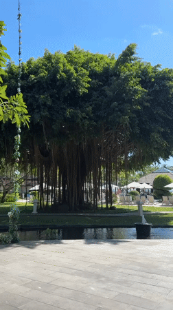 Morning scenes captured at Kuta resort and seaside restaurant