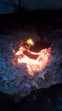 Evening downtime in Kharkiv: fires, screens, snacks, and a hedgehog