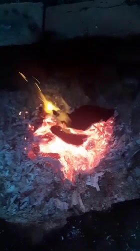 Evening downtime in Kharkiv: fires, screens, snacks, and a hedgehog