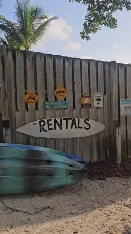 The video begins by showing a wooden fence with several signs on it. One sign is surfboard-shaped and reads "RENTALS" in black lettering. Below the fence are two kayaks, one stacked on top of the other. The kayaks are teal and black camouflage colored. The scene transitions to a bright green kayak hanging from a pole. Then, a woman stands under a large tree near the water. The video pans to a beach area with several picnic tables and chairs. People are seated at the tables and chairs, and palm trees are visible in the background.