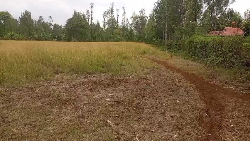 The camera pans across a rural landscape, beginning with a field of tall, golden grass bordered by trees and a hedge. A dirt path runs along the edge of the field. The camera then moves to reveal a cleared patch of land with sparse grass and exposed soil. As the camera pans further, a road appears in the distance, with buildings and vehicles visible along it. A mountain can be seen in the background, and the sky is overcast.