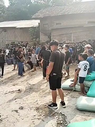 This is a video clip showing an outdoor gathering in Gentungan, Indonesia. A crowd of people, including men, women, and children, are assembled in what appears to be a village or rural setting. They are standing on a dirt or sandy ground in front of traditional-style buildings with tiled roofs.

The central focus of the activity appears to be a man carrying a tray of bottles on his head, walking through the crowd. He is being followed or accompanied by others, and the people around seem to be watching him. Some individuals are holding objects, and a few are carrying children. The overall atmosphere suggests some sort of local event or procession.

The lighting indicates it is daytime, likely late morning or early afternoon, with bright sunlight casting shadows. The weather seems to be fair and warm. The people are dressed casually in t-shirts, shorts, and some traditional clothing. Some are wearing masks.

A notable detail is a young boy in the foreground wearing a white t-shirt with the number "8" and the name "FERNANDES" on the back. There are also several large, colorful sacks, possibly filled with rice or other goods, stacked to the right of the frame, which might be part of the event or simply stored there. The emotion conveyed by the people in the clip appears to be one of curiosity, participation, and perhaps festive engagement.