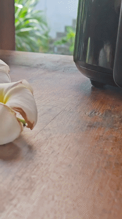 Macro exploration of a wet tropical garden in Baan Bo Phut