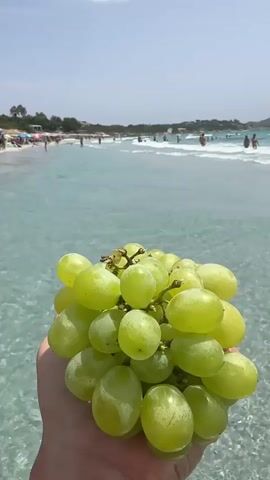 A hand holds a bunch of green grapes in the foreground, with a bright, sunlit beach and turquoise water in the background. Several people are visible on the beach and in the water, some swimming and others relaxing. The waves are gentle, and the sky is clear and blue. The overall scene depicts a leisurely day at the beach.