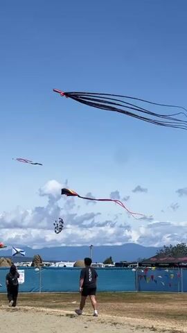 A kite festival is taking place outdoors under a clear blue sky with scattered clouds. Several kites of various designs are visible in the sky, including a large black kite with multiple tails resembling a squid or octopus, a smaller red and yellow kite, and a patterned kite. In the foreground, two people are walking on a grassy field, facing away from the camera. A blue fence separates the field from a background area with tents and flags. The overall atmosphere appears to be a festive outdoor event.