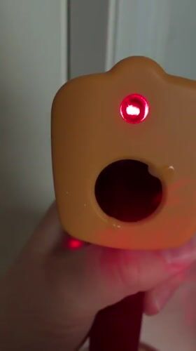 Infrared thermometer used to measure cooking temperature in Germany