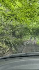 Vehicle navigates muddy forest track in Tabaruki, Georgia
