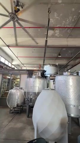 This video shows the interior of a production facility, possibly a winery or brewery. In the foreground, a large, white, egg-shaped tank is visible. To the left, several large, cylindrical stainless steel tanks, some wrapped in insulation, are positioned. One of these tanks has a pipe extending from it. In the background, a glass-enclosed area reveals shelves filled with bottles. A large industrial fan is spinning on the ceiling. The environment appears to be a concrete floor and ceiling with exposed pipes and lighting fixtures. The video is shot from a low angle looking upwards and is static. There is no visible human activity.