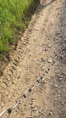 The video shows a medium-sized, light-colored dog with short fur, standing on a dirt road. The dog is wearing a collar and a chain leash. The road is cracked and has tire tracks in the dirt. Green grass and trees are visible on either side of the road. The dog looks directly at the camera, and then sticks out its tongue. The weather appears sunny.