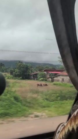 The video shows a view from inside a vehicle looking out a window. The scene outside is a rural landscape with lush green vegetation, trees, and a cloudy sky. A small house with a red roof is visible in the distance. There is a road in the foreground, and a white pole with black markings, possibly a road marker, is also visible. The camera pans slowly, showing more of the landscape, including power lines and distant hills. The overall impression is a peaceful, somewhat overcast, rural setting.