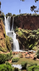 Sofia residents capture waterfall scene and relaxing dog moment