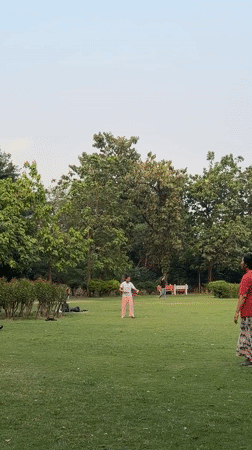Group plays badminton in Delhi park
