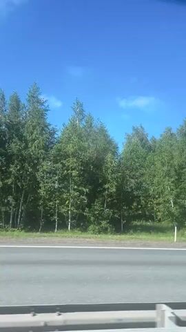 The video shows a view from a vehicle traveling on a highway. On the right side of the road, there is a dense line of green trees under a bright blue sky with a few scattered white clouds. The road itself is paved, with white lines marking the lanes. The camera is angled slightly downwards, showing the road surface and the shoulder. The trees are lush and appear to be in full foliage. The scene suggests a sunny day in a rural or suburban area.