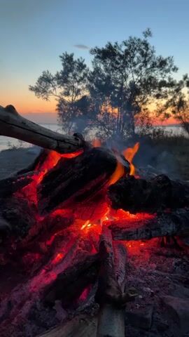 A campfire burns brightly at dusk, with logs glowing red-hot and flames licking upwards. Smoke billows against a backdrop of silhouetted trees and a colorful sunset sky over a body of water. The foreground shows charred wood and embers, suggesting a recently extinguished fire or one that has burned down. The scene is set outdoors, likely near a beach or lakeside, with a serene natural environment. No people or animals are visible in the video.