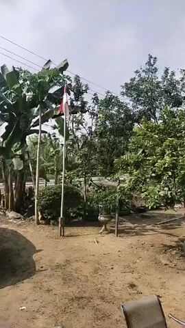 The video pans across an outdoor scene. In the foreground, there is a dirt ground and a chair. To the left, a flag on a pole is visible, with a red and white flag. Behind the flag, there are banana trees and other vegetation. The middle ground shows various trees and plants, including potted plants. In the background, there are more trees and a cloudy sky. The camera movement is smooth and slow, showing a panoramic view of the surroundings.