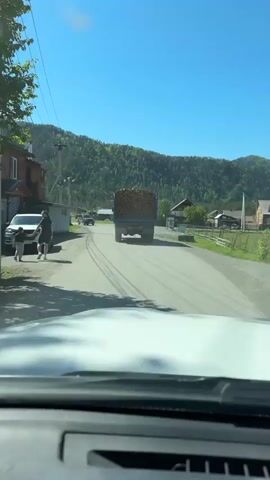 The video shows a view from the interior of a vehicle, looking out through the windshield, driving down a dirt road in a rural area. A blue flatbed truck loaded with firewood is ahead, traveling in the same direction. On the left, a man walks along the side of the road next to parked cars and a building. A black SUV passes in the opposite direction.  In the background, there are mountains covered with green trees and a bright blue sky. Several small buildings and houses are visible along the road. The road has visible tire tracks.