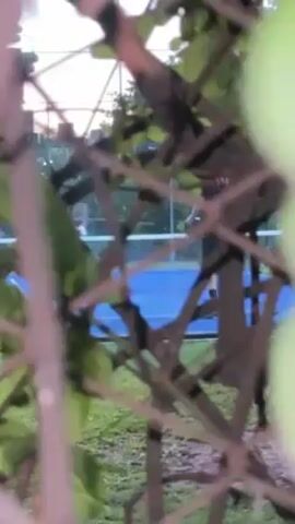 The video shows a partially obscured view of a blue sports court, possibly a tennis or paddle court, through the branches of a tree. Two figures are visible on the court, one appearing to swing an object, possibly a racket. The background is slightly blurred, suggesting a shallow depth of field. The overall lighting suggests the video was taken during dusk or dawn.