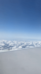 Passenger documents routine flight experience over Pudong, China