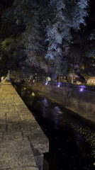 Nighttime scenes captured along Córdoba's historic Cañada waterway