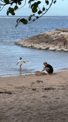 Morning leisure activities captured across Denpasar beaches and streets
