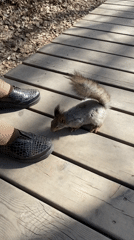 Morning park life captured in Yekaterinburg