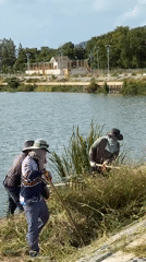 Three people clear lakeside vegetation in Ban Bang Rak