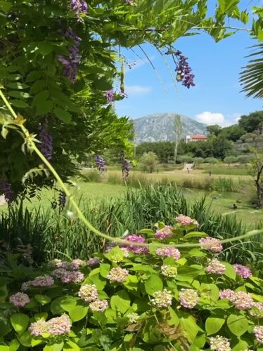 Peaceful afternoon captured at waterside restaurant in Morinj, Montenegro