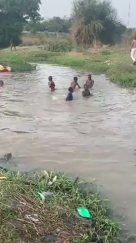 The video shows a group of children playing in a muddy river. There are about seven children in the river, and they appear to be splashing around and having fun. The river is surrounded by green vegetation, and there are a few people standing on the riverbank watching the children. The video seems to be taken on a cloudy day.