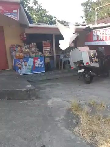 The video shows a red car driving past a row of buildings. The buildings appear to be shops or businesses, with awnings and signs. One prominent sign reads "NATION WHITE AUTHENTIC INTERNATIONAL FLAVOR." There is a motorcycle parked in front of one of the buildings, and other vehicles are visible in the distance. The environment appears to be a somewhat rural or developing area, with some vegetation and unpaved ground. The sky is clear and blue, suggesting it is daytime. The camera is mounted on a moving vehicle, giving a perspective from within the car. There are no people clearly visible interacting with each other or the buildings. The overall impression is a snapshot of a street scene in a commercial area.