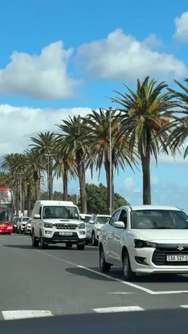 The video depicts a sunny daytime scene on a street in Cape Town, South Africa, characterized by a clear blue sky dotted with white clouds and a prominent row of tall palm trees lining the road.

Initially, a white Mahindra Scorpio SUV drives towards the camera. Its license plate partially shows "CY 352-193", indicating a Western Cape registration. Other vehicles are visible in traffic or parked on the side of the road.

As the white SUV passes, a large red double-decker City Sightseeing bus comes into full view, also moving towards the camera. The bus prominently displays "City Sightseeing" and "Hop On - Hop Off" on its front, along with the license plate "CSS 33 - WP". People can be seen on the upper deck of the bus, enjoying the ride, and some individuals are visible on the sidewalk or near parked cars in the background. The overall scene suggests a pleasant day for sightseeing or travel in an urban area.