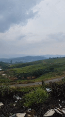 Tea plantations and wind turbines documented in rural Vietnam