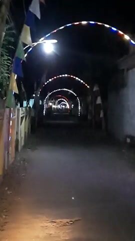 A dark dirt path is lined with fences and flags on the left. Arches decorated with colorful lights span the path, creating a tunnel effect. The lights flicker, and a bright light shines from the left.