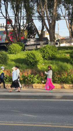 Evening tourist activity recorded around Da Lat's floral displays