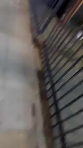 The video starts with a close-up shot through a metal grate, showing the ground and some objects beneath. The camera then pans up to reveal a ladder leaning against a dark wall under a night sky. Next, the perspective shifts to a street scene at night, with a man in a white shirt and light-colored pants walking along the sidewalk next to a large structure. The street has traffic, streetlights, and buildings visible in the background. The man walks away from the camera along the sidewalk.