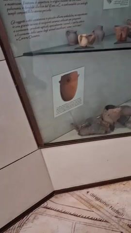 The video pans across a museum display case containing ancient pottery and artifacts. The display case has a glass front and is illuminated by overhead lighting. The artifacts appear to be made of clay and vary in size and shape, with some being intact and others fragmented. Some of the pottery items are bowls, while others are smaller vessels. There are also what appear to be grinding stones or tools made of stone. In the background, behind the main display, there is another shelf with more pottery. The floor in front of the display case is tiled, and a portion of a map or document with the words "direzione Napoli" is visible on the floor. The overall impression is of an archaeological exhibition showcasing ancient ceramic and stone objects.