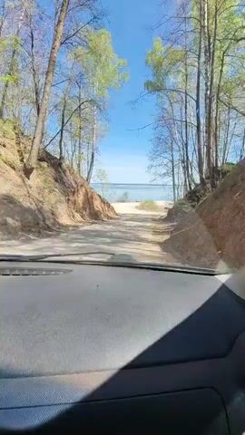 The view is from the inside of a vehicle moving along a dirt road towards a beach. The road is flanked by sandy, tree-covered embankments, with birch trees lining the path. The sky is clear and blue, and the sea is visible in the distance. The car's dashboard is visible in the foreground.