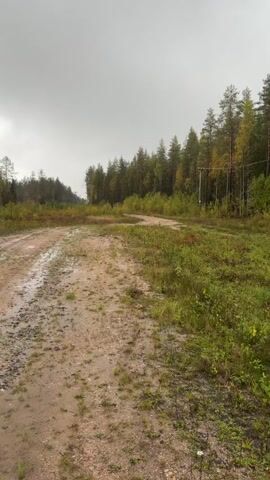 A dirt road leads through a wooded area with some grassy clearings. The sky is overcast and the ground appears wet and muddy in places. In the distance, a fence surrounds some industrial equipment. Further on, an amphibious vehicle, also known as an Argo, is parked on the side of the road. It is a green, six-wheeled vehicle with a roll cage. Another shot shows the vehicle parked next to a tall tower, with the industrial equipment and fence visible in the background. The scene suggests a rural or industrial setting in a forested area.