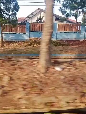 The video shows a blurry, side-view of a residential area. A light blue wall with a wooden fence on top runs along the property line. There are trees and vegetation visible, and the ground appears to be covered in dirt and leaves. The camera seems to be moving, creating a sense of motion.